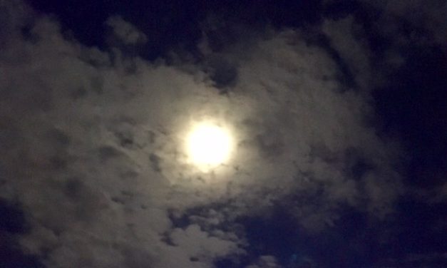 The Best of Self in the Worst of Times